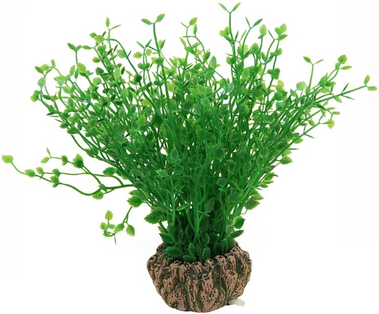 Растение 1902AR с распылителем "Бакопа мелколистная" зеленая, 70*70*200мм